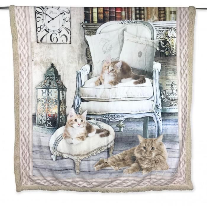 Plaid Couverture Polaire Sherpa Photo Numerique Chats Dans Le Fauteuil Seul Cm 150x0 Cdiscount Maison Plaid Couverture Polaire Sherpa Photo Numerique Chats Dans Le Fauteuil Seul Cm 150x0 Cdiscount Maison