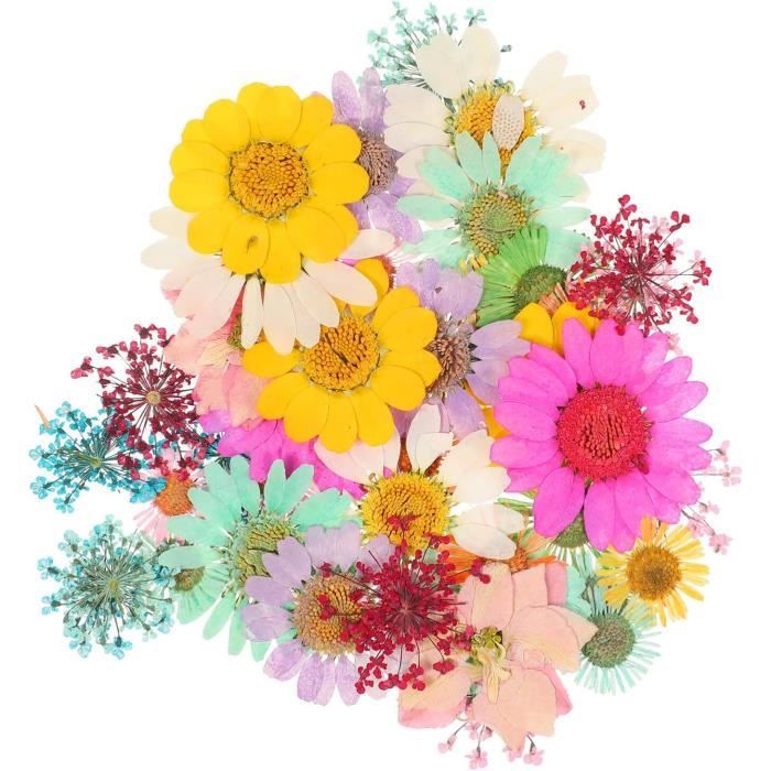 Cadre de fleurs séchées - L'Atypic