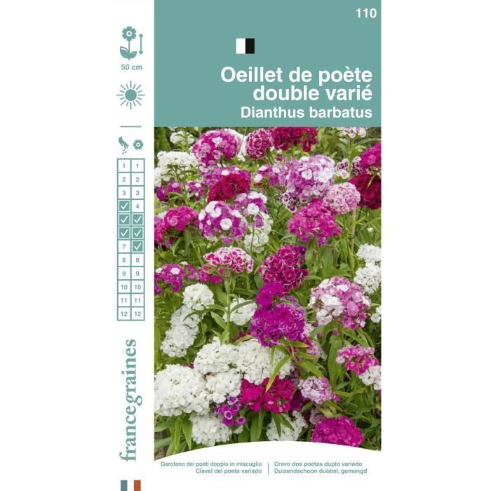 France Graines - Œillet Poete Double Mix