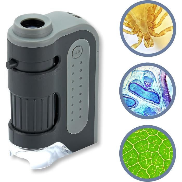 Microscope Levenhuk Rainbow 50L PLUS Avancé Avec Grossissement 1280x Et Éclairage LED Double Focale