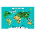 Mappemonde Planisphère des animaux carte du monde à gratter-1