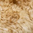 HAO Tapis en peau de mouton véritable Longueur de la laine : 5-7 cm 60 x 90 cm Mélange de marron 9786627436569-2