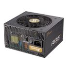 SEAL SHIELD Seasonic Alimentation PC FOCUS Plus 850W Gold - Modulaire