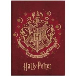 HARRY POTTER - Plaid Harry Potter Poudlard 110x130 cm - 100
