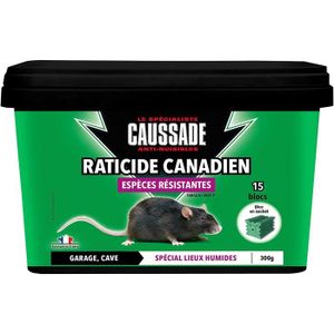 PIÈGE NUISIBLE MAISON Caussade CARBL300N Raticide Canadien | Anti Rats &
