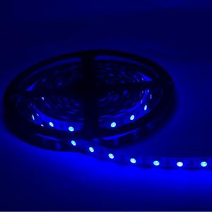 Ecloud Shop 2 X Bande Lumineux Lampe 12V 3 LEDs 3528 SMD Etanche Bleu Pour Voiture