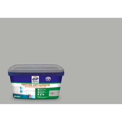Peinture anti humidité anti moisissure salpêtre isolante ARCASCREEN - 0.75  L (jusqu a 3m²) - Cdiscount Bricolage