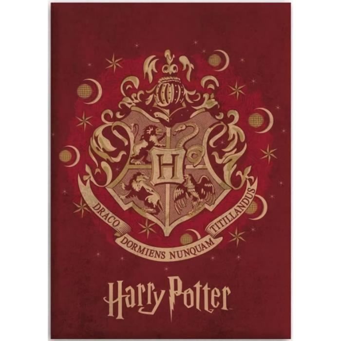 kidparadise - Harry. Potter - Couverture plaid polaire Harry Potter 100 x 140 cm