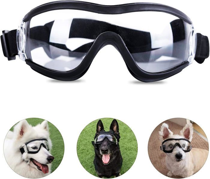 Lunettes de protection pour chien coupe-vent pour lextrieur sangles de tte rglables Label