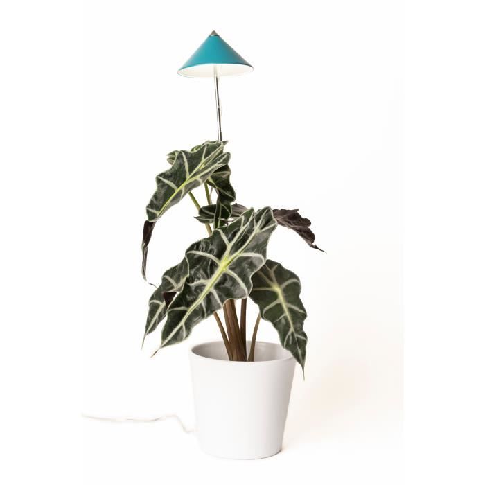 Parus by Venso Lampe à plantes SUNLiTE 7W essence lampe de croissance LED avec tige télescopique lampe de croissance pour plantes