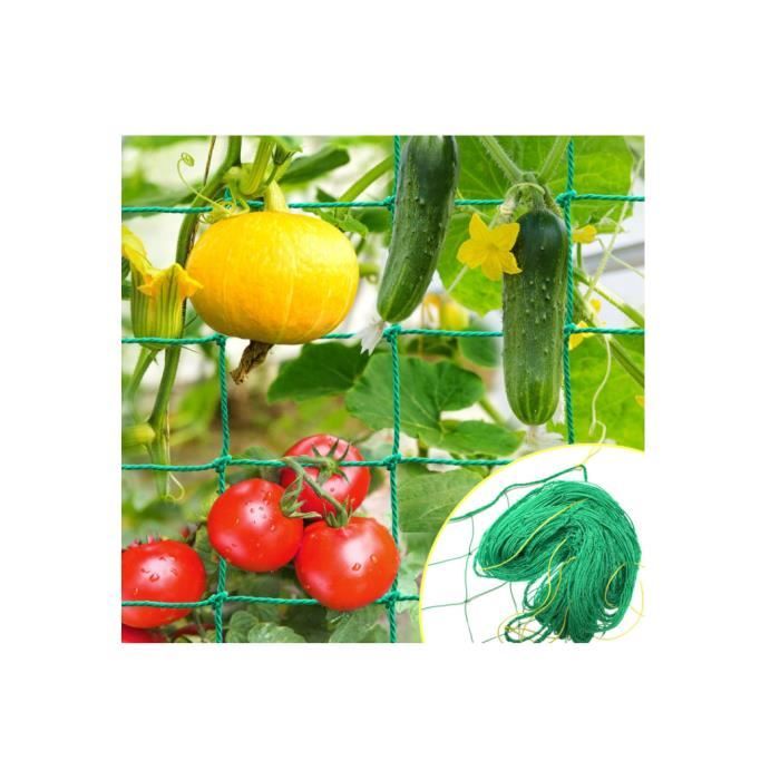 Treillis Jardin 2x3m IKSAMY - Maille 10x10cm Pour Concombres, Tomates - Filet Plantes Grimpantes