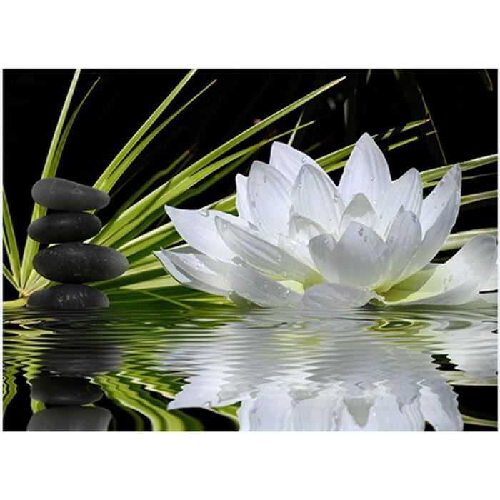 Kit De Dessin Broderie Diamant Kit Completpeinture Numéro Adultepeinture Par Numerofleurs Blanches Lotus