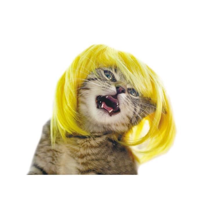 Animalerie Perruques De Chat Jaunes Et Bleues Mpk Perruque D Animal De Compagnie Perruque De Chat Drole Costume De Type Yellow Cdiscount