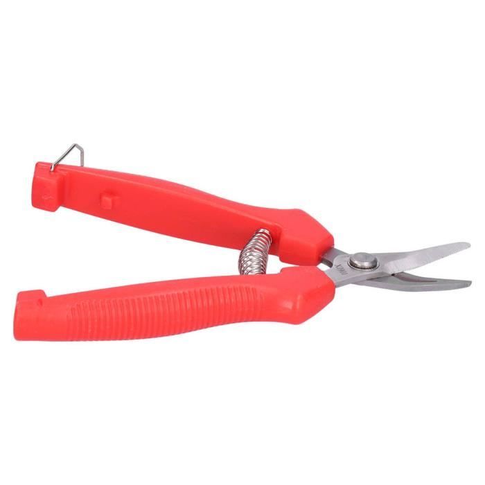 Ciseaux De Jardin Gardena FreshCut - Pour Herbes, Fleurs Et Baies - Lame Inox 47mm