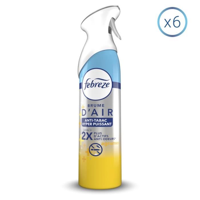Désodorisant Anti-Tabac Spray 750ml - Éliminateur Odeurs Fume, Animaux Et Maison