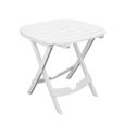 Ensemble de jardin pliable table et 2 chaises Ruspina Sotufab Plast (Blanc)-1