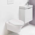 TACKLIFE Abattant WC, Siège de Toilette, avec Fermeture Amortie, en Polypropylène, Antibactérien,Forme O DBTS07BJ-3
