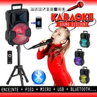 Enceinte Karaoké Mobile Party USB SD BLUETOOTH + PIED + MICRO + BATTERIE idéal cadeau Noël, d’anniversaire PA DJ SONO MIX LED LIGHT