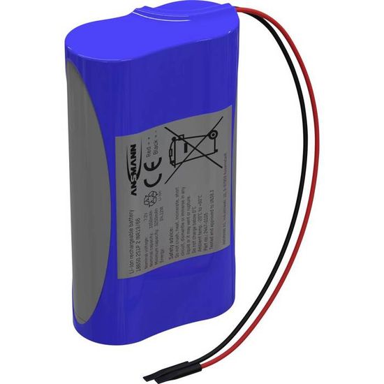 Pack De 2 Batteries Li-ion 7,4 V 3000 MAh Avec Connecteur Deans T + Chargeur - Pour Voitures Télécommandées, Robots Et Modèles Radiocommandés