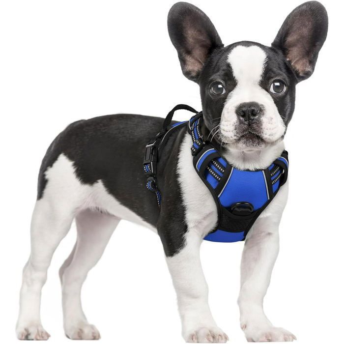 Meilleurs prix pour Harnais Chien Anti Traction Bleu XS Harnais Chien avec Poignée Facile à Mettre Gilet Réglable Réfléchissant pour Petit Chien
