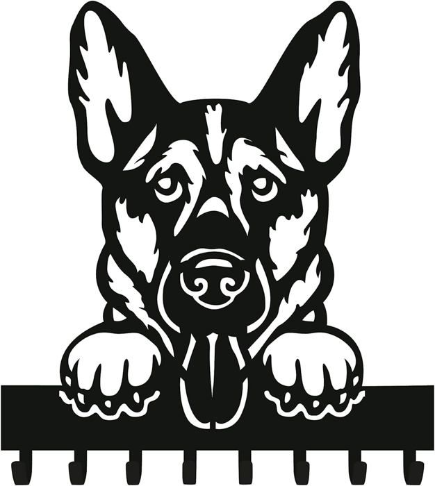 YYBO Support Mural Pour Laisse Pour Chien, Porte Clef Mural