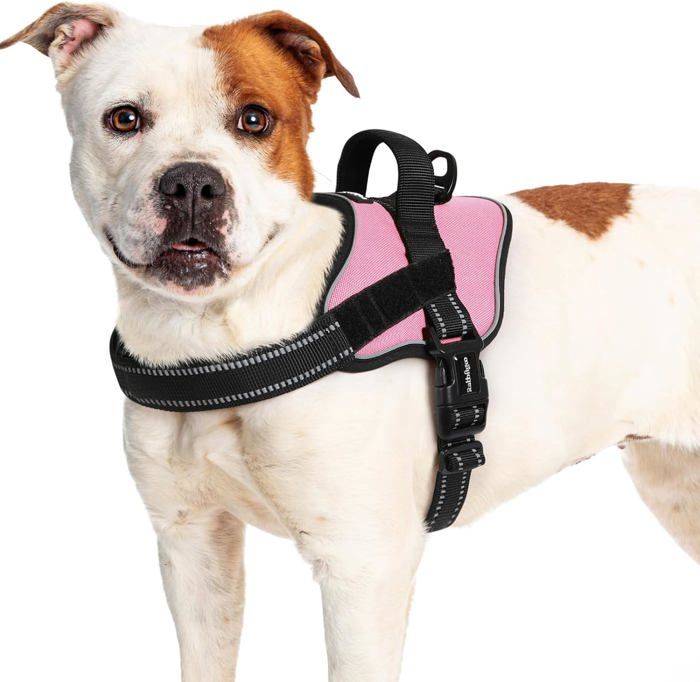 Meilleurs prix pour Harnais Chien Harnais Anti Traction pour Chien Réfléchissant Réglable Respirant Facile à Mettre avec Poignée Contrôle Rose L