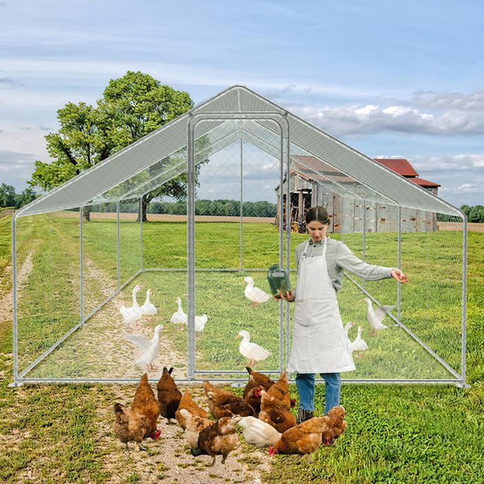 Meilleurs prix pour Eulenke Enclos poulailler anti UV 3x6x2 m avec serrure Toit étanche et résistant au soleil acier galvanisé 18m² POULAILLER