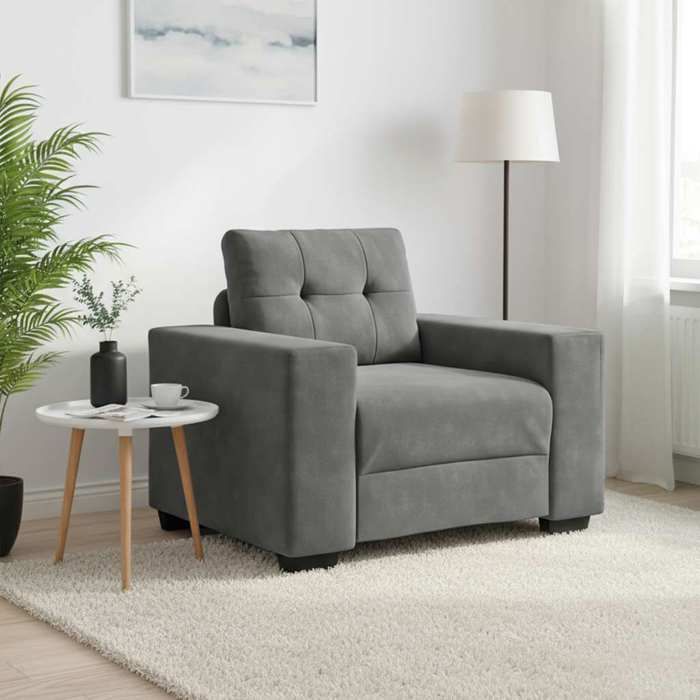 NEW 2026 Fauteuil gris foncé 100x78x80 cm velours L2619