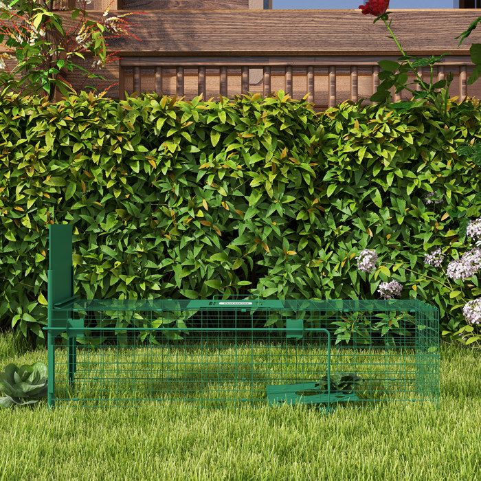 MOTHINESSTO2568-Cage attrape animaux nuisibles 1 entrée dim. 100L x 25l x 28H cm vert foncé