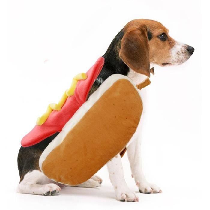 Manteau Blouson Costumes De Chien Chat Saucisse Droles Vetements Pour Petit Chien Vetements Pour Type White Back Length 25cm Cdiscount Manteau Blouson Costumes De Chien Chat Saucisse Droles Vetements Pour Petit Chien Vetements Pour Type White Back Length 25cm Cdiscount