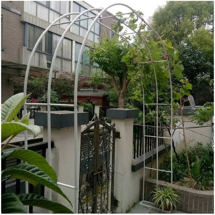 HAPPYGRILL Garten-Tonnelle In Vogelkäfig-Form - Metall, 2,1x2,4 M, Für Kletterpflanzen & Hochzeiten