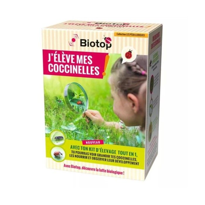 Kit délevage de coccinelles - Larves incluses