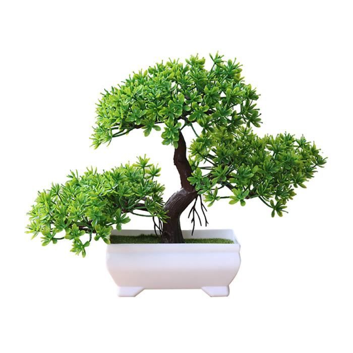 Des bonsaïs en fil de fer – La boite verte