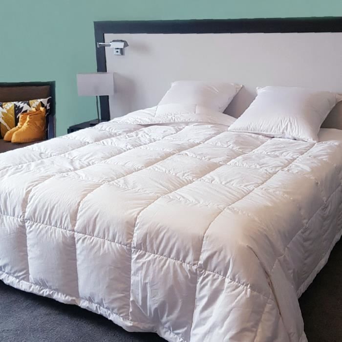 CASTEX COUETTES NATURELLES Couette fine anti transpiration CASTEX - Duvet Oie - 240x220 cm - L&eacute;g&egrave;re - Blanc 
