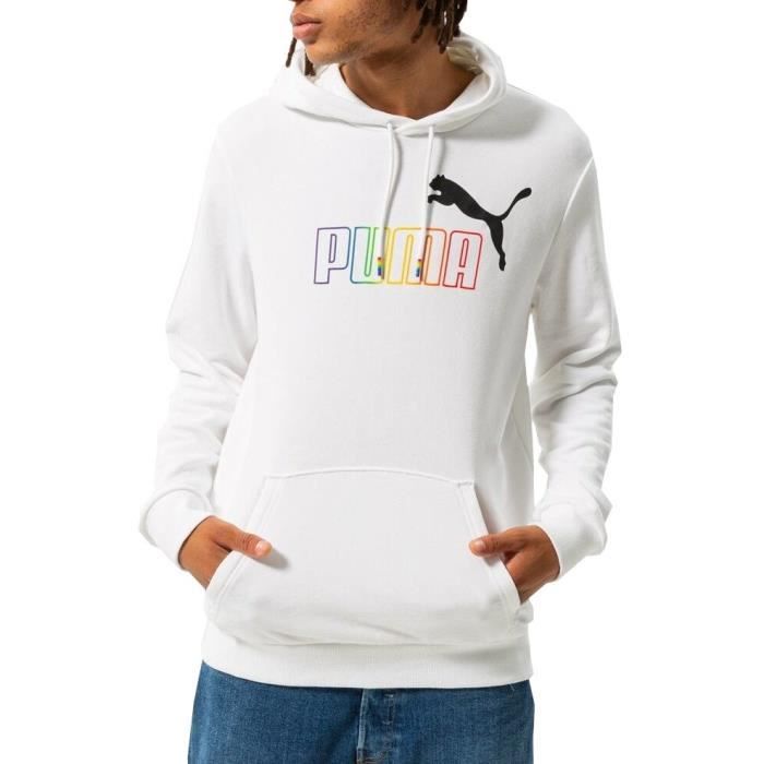 Puma Essentials Rainbow sweat a capuche homme