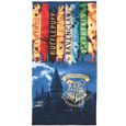 Serviette De Bain Harry Potter - Motif Poudlard Express & Chouette Hedwig - 100% Coton - 70 X 140 Cm - Idéal Pour Les Fans