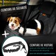 Siège auto pour chien imperméable - FIRSTPAW - Sécurisé - Sièges arrières et avant - Noir - Chiens de petites à moyenne taille-2