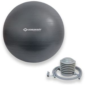 BALLON SUISSE-GYM BALL Schildkrot Fitness Accessoire de fitness Schildkrot Ballon d`exercice 75 cm - 4000885601572
