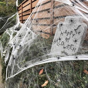 KIT DE DECORATION TD® Halloween decoration araignée coton maison han