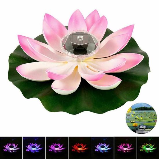 Lampe LED solaire flottante en forme de fleur de lotus pour piscine et tang Label - Jardin