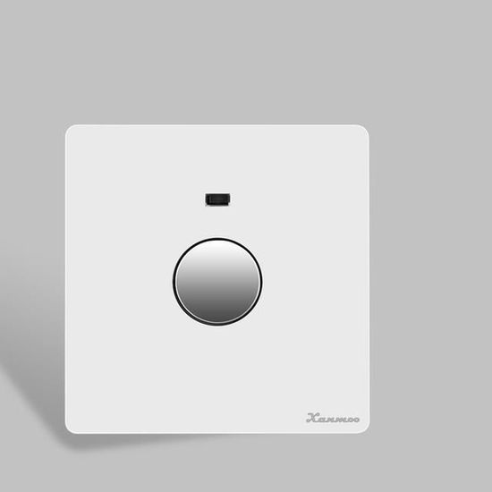 INTERRUPTEUR,Time delay switchPanneau PC blanc plat encastré, 250V