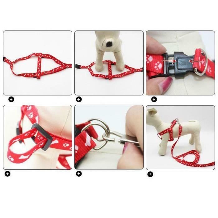 Lot de Harnais et Laisse pour petit Chien Chiot Chat Promenade Sortie Rouge