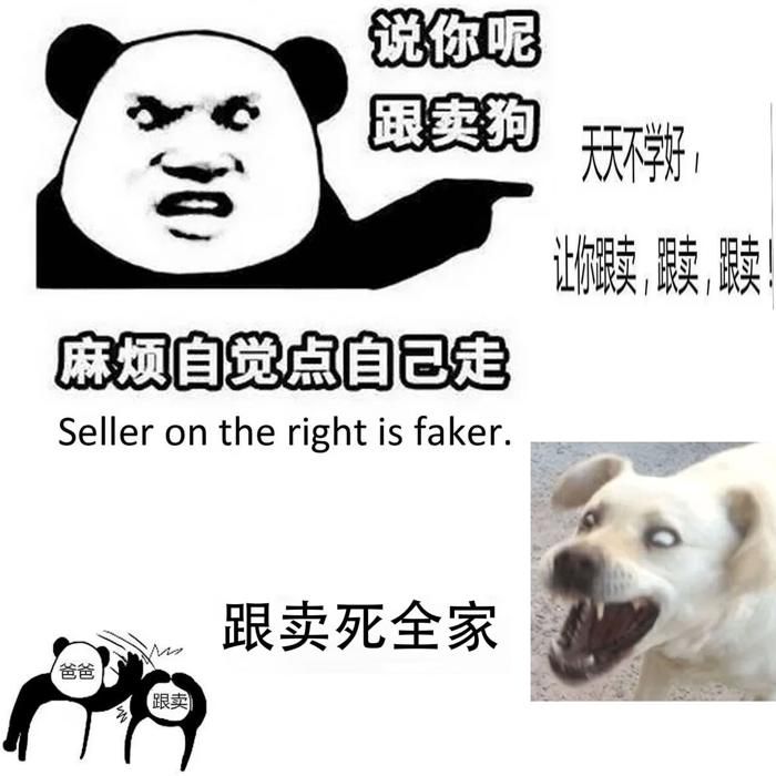 LegoHousse pour Samsung Galaxy Z Flip 6 5G etui de protection pochette portefeuille Étui en cuir diamant - vue 3