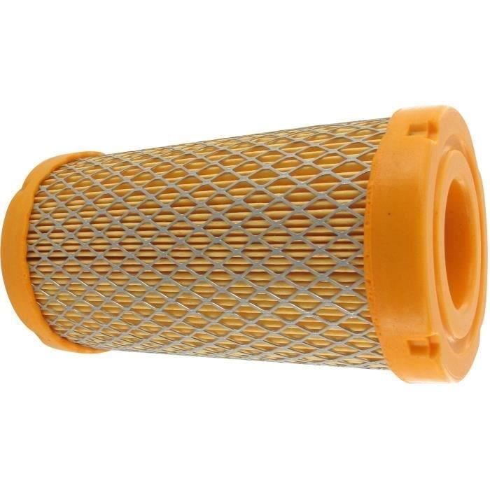 Greenstar 5877 Filtre à air adaptable Brigg/Stratton 793569