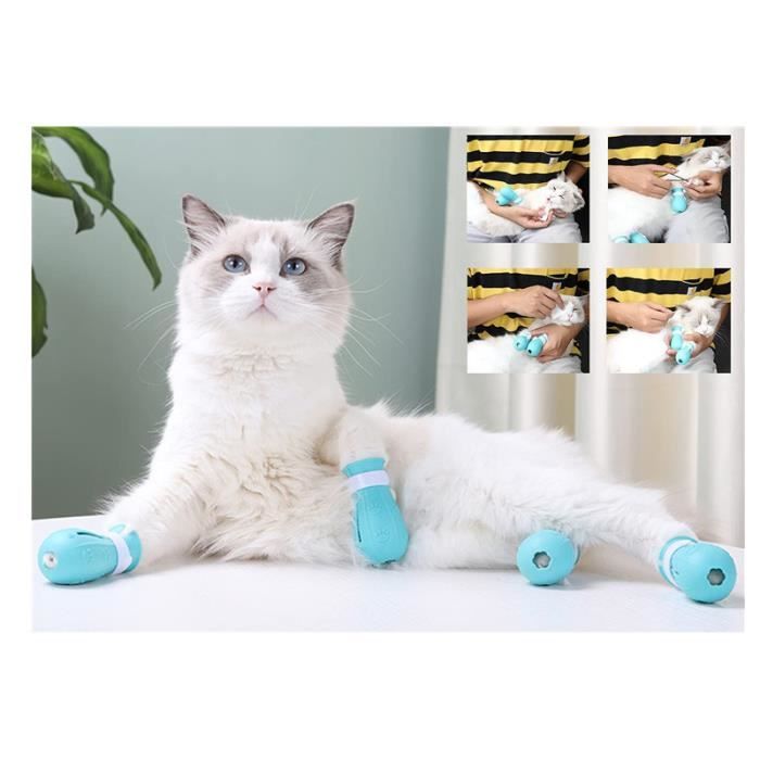 Bleu clair - animaux accessoires brosse chat accessoire chat chat  accessoires pour chats Couvre pieds en Sili - Cdiscount