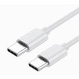 Câble USB Type C vers Type C - 1 Mètre pour ZTE Libero 5G II Charge Rapide - Câble de Recharge-Synchronisation Rapide-3