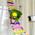 jouets pour oiseaux pour perroquet, échelle, balançoire, dressage pont arc-en-ciel pour perroquets, perruches, conures, cokatoo-0
