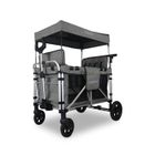 Chariot de transport enfant pliable gris premium - FUXTEC Family Cruiser - banquettes amovibles 4 places EN-1888 75 kg