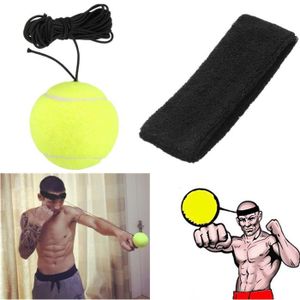 ACCESSOIRE RING - CAGE Martial MMA Boxe Speed Ball Reflex Poinçonnage Lut