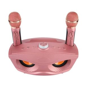 MICRO - KARAOKÉ ENFANT Machine à karaoké avec 2 microphones, haut-parleur